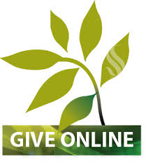 Online Giving Options