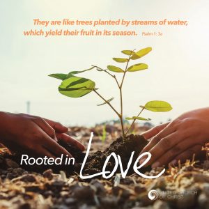 title - Rooted in Love
