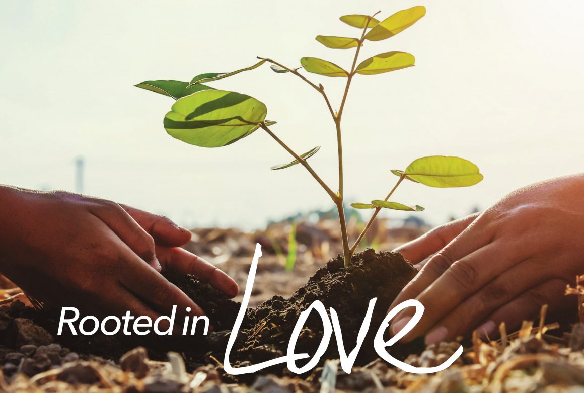 Stewardship Rooted In Love