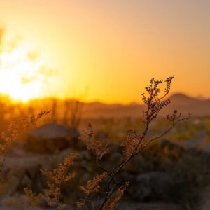 Worship with us this Sunday