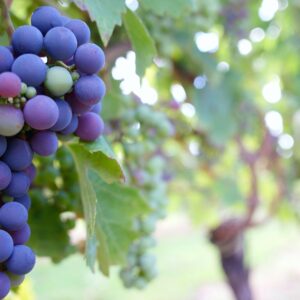 Worship with us this Sunday Worship with us this Sunday