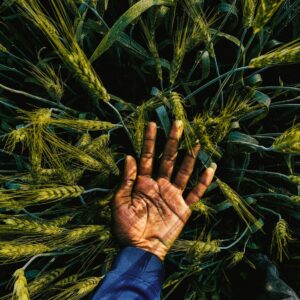 Worship with us this Communion Sunday Worship with us this Communion Sunday