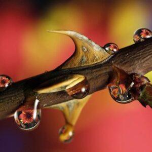 Worship with us this Communion Sunday Worship with us this Communion Sunday