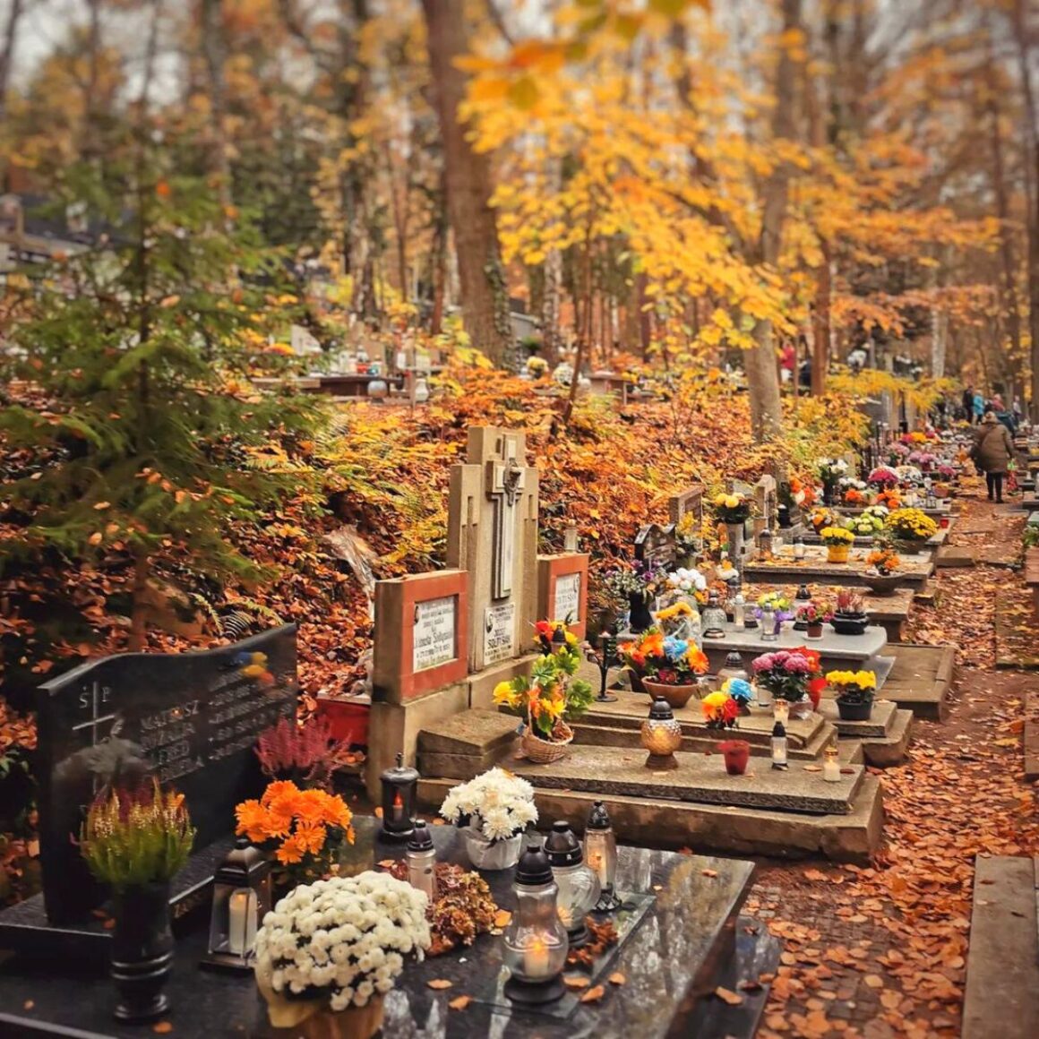 Worship with us this All Saints Sunday Worship with us this All Saints Sunday